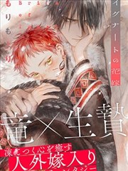 影展回顾单元手册与条目索引示意图